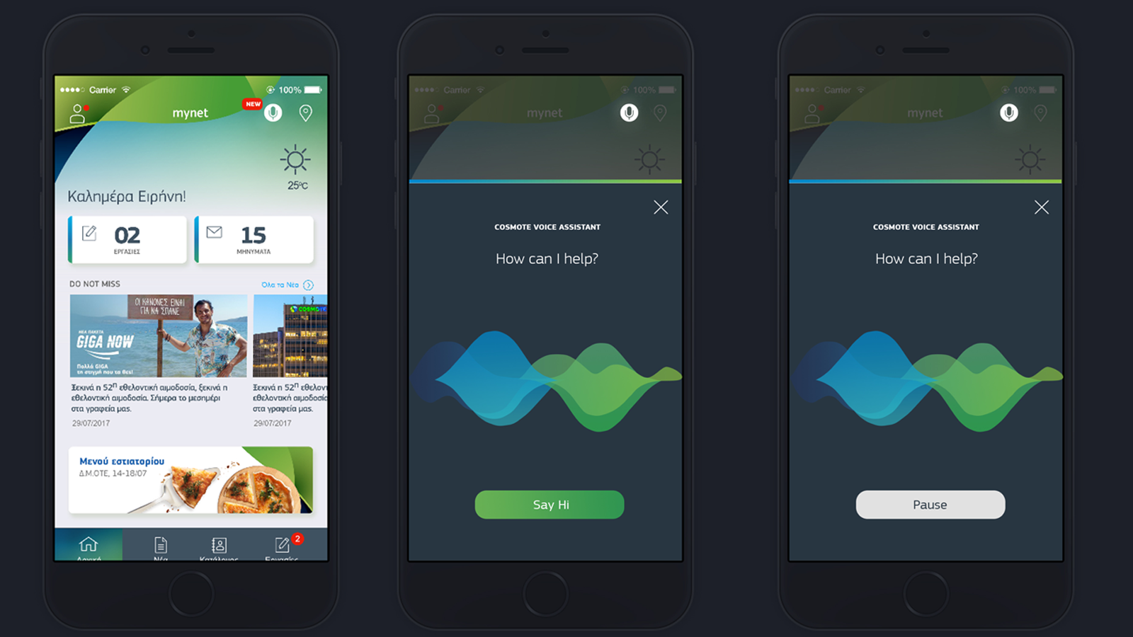Voice Assistant Feature